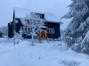 Ferienhaus Rennsteigblick
